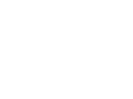 MAX STANDARD